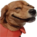 Funny Dogs Stickers WASticker