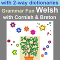 Grammar Fun Welsh with Cornish & Breton dictionary