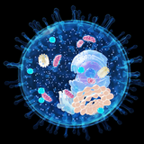 Idle Evolution ícone
