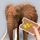 Missing Colors APK