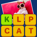 Pic Crossword ! APK