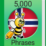 Aprende noruego - 5 000 frases icono