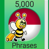 Learn Indonesian Language icon