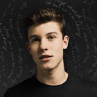 Biography of Shawn Mendes icône