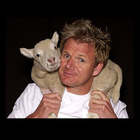 آیکون‌ Life of Gordon Ramsay