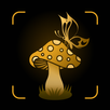 APK Plant, Bug, Fungus -Identifier