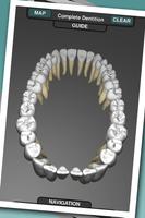 Real Tooth Morphology poster