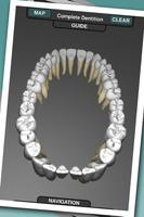 Real Tooth Morphology Free الملصق