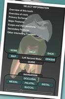 برنامه‌نما Real Tooth Morphology Free عکس از صفحه