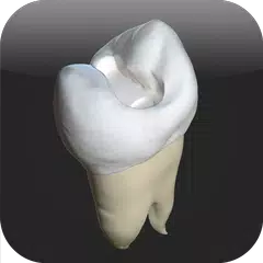 CavSim : Dental Cavity Trial APK 下載