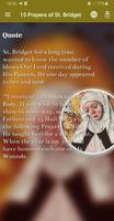15 Prayers of St. Bridget poster