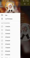 Las 15 oraciones de Santa Brígida captura de pantalla 1