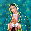 Virgen de Guadalupe