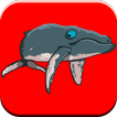 有趣的鲸鱼和我的海豚表演游戏为孩子们免费🐋🐬