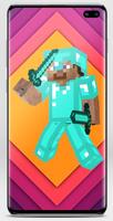 Steve Skin screenshot 2