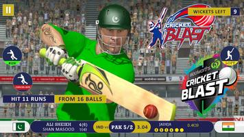 World Cricket : Cricket Games screenshot 1