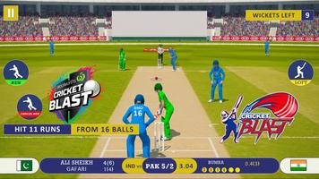 World Cricket : Cricket Games screenshot 2