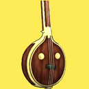 Carnatic Singer APK