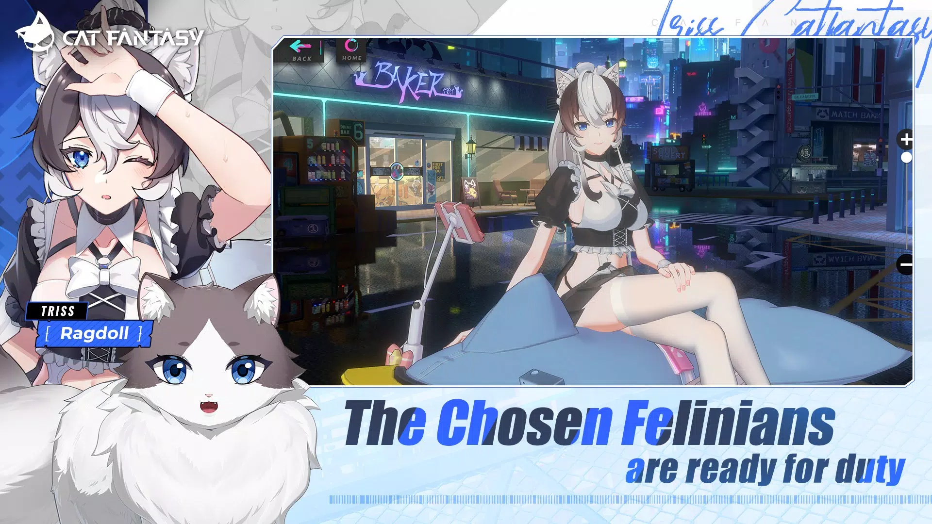 Cat Fantasy:PH Cat Fantasy:PH