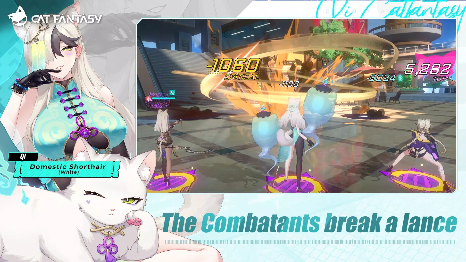Cat Fantasy:PH Cat Fantasy:PH