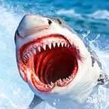 Angry Shark Attack Game آئیکن