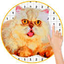 Cat Photo Coloring By Numbers APK