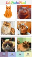 Cat Photo Coloring By Numbers Affiche