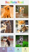 Dog Photo Pixel Coloring Affiche