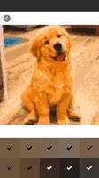Dog Photo Pixel Coloring capture d'écran 1