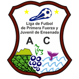 Liga de Primera Fuerza y Juven