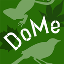 Le DoME Martinique APK