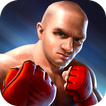 MMA Fighting 3D