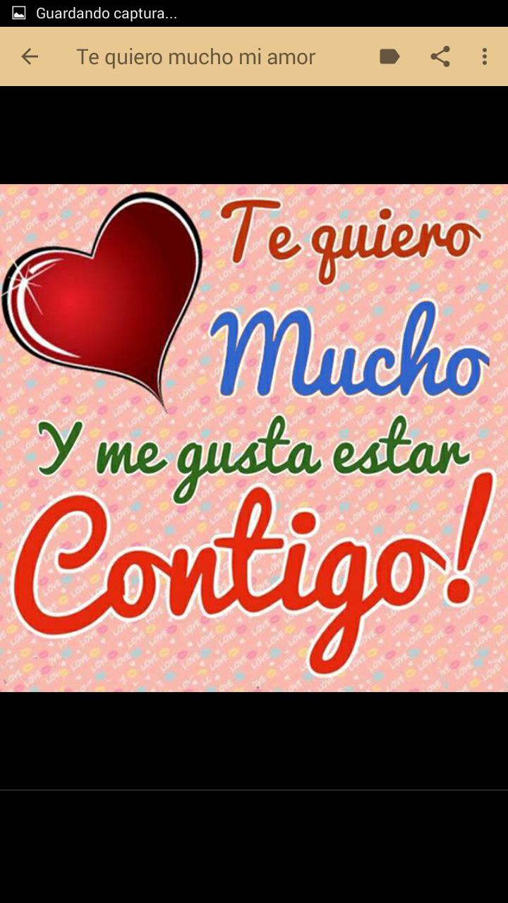 Frases De Te Quiero Mucho Mi Amor Dlya Android Skachat Apk