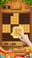 BlockPuzzle স্ক্রিনশট 10