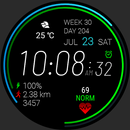 Futorum H1 Digital watch face APK