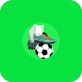 Futbolero plus