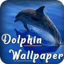 Dolphin fonds d'écran APK