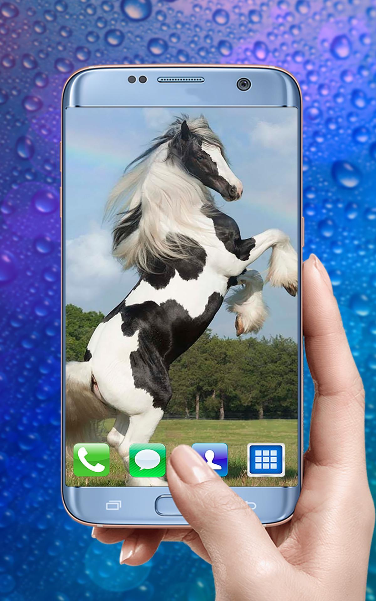Pferde Wallpaper Und Hintergrunde Sperren Fur Android Apk Herunterladen
