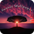 Sunset Wallpapers