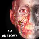 AR Anatomy APK