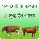 গরু মোতাজাতকরন ও দুগ্ধ উৎপাদন  APK