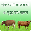 গরু মোতাজাতকরন ও দুগ্ধ উৎপাদন