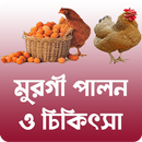 APK মুরগি পালন ও চিকিৎসা ~ ব্রয়লার
