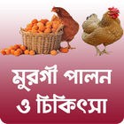 মুরগি পালন ও চিকিৎসা ícone