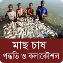 মাছ চাষের পদ্ধতি ও কলাকৌশল - B APK