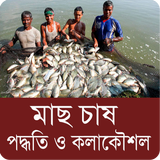 মাছ চাষের পদ্ধতি ícone