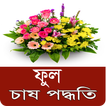 ফুল চাষ পদ্ধতি - Flower Cultiv