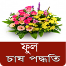 ফুল চাষ পদ্ধতি - Flower Cultiv APK