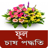 ফুল চাষ পদ্ধতি ícone