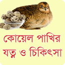 APK কোয়েল পাখির যত্ন ও চিকিৎসা - ক